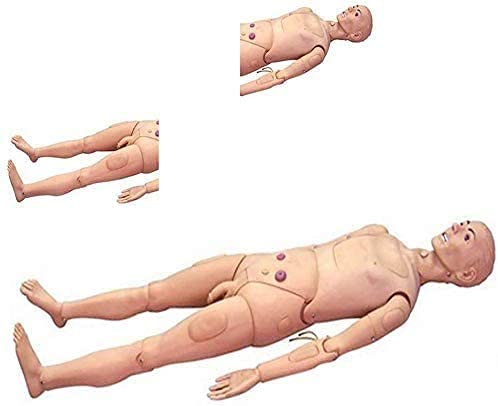 Nihe Nursing Demonstration Model Anatomical Human Manikin Male And Woman Training Dummy Supplies Life Size Teaching Model Patient Care #TOP4