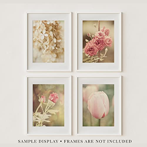 Lisa Russo Fine Art - Pink And Off White Flower Art Prints - Set Of 4 - Unframed - Pink Shabby Chic, French Country Floral Pictures For Bathroom, Bedroom, Or Nursery Wall Decor (5X7 Prints) #TOP5