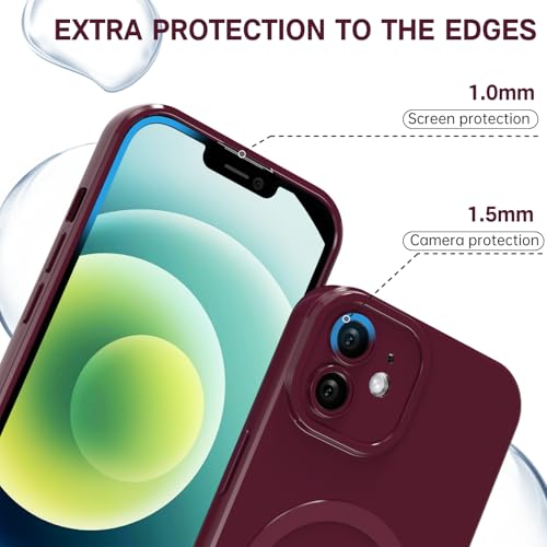 Coque silicone iPhone 12 compatible MagSafe Svanove transparente brillante - 5
