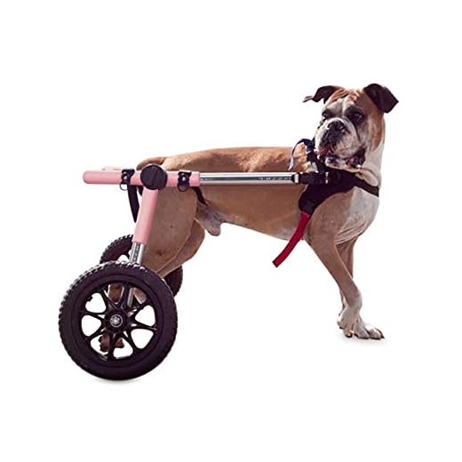 Walkin' Wheels Dog Wheelchair - for Large Dogs 70-180 Pounds - Veterinarian Approved - Dog Wheelchair for Back Legs
