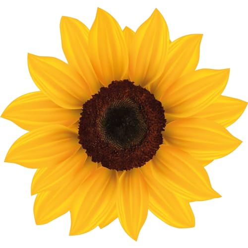 kleberio Selbstklebender Aufkleber Sticker Autoaufkleber wetterfest Blumen Mülltonne Blumenwiese Dekoration Fensterbild Fliesenaufkleber 10 x 9 cm - Gelbe Sonnenblume -