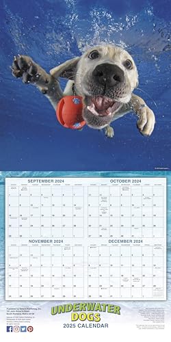Sellers Publishing, Inc. CA4012 Underwater Dogs 2025 Wall Calendar thumb #2