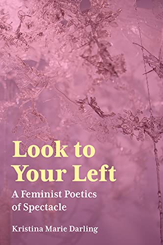 Look To Your Left: A Feminist Poetics of Spectacle (Akron Series in Contemporary Poetics)