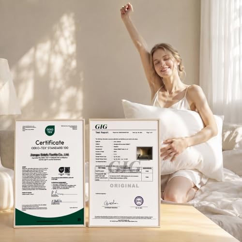 Image of Adjustable Organic Pillow 20x30 with Organic Cotton Pillowcase &Shell