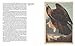 Birds: The Goldfinch, Birds, Art, and Us