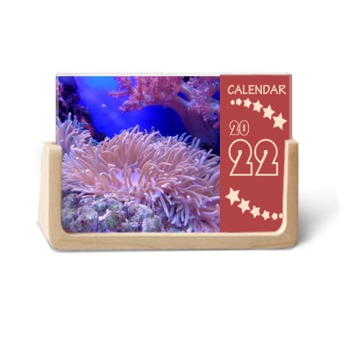 Calendrier de bureau 2022 océan et science naturelle avec photos de paysages sous-marins