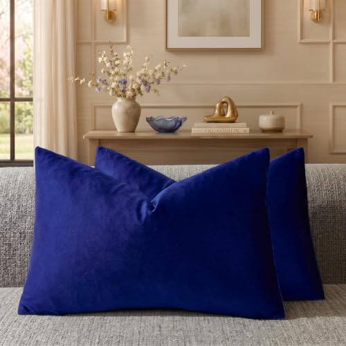 GIGIZAZA 12x20 Lumbar Small Pillow Covers, Blue Pack of 2 Velvet Throw Pillow Covers Decorative Vintage Living Room Super Soft Pillowcases Couch Sofa Cushion Covers