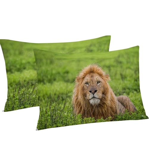 Housse de couette 160x200 microfibre douce lion parure de lit