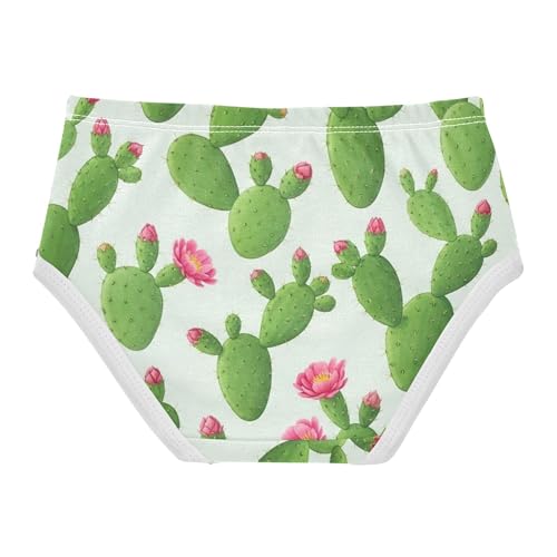 Toddler Girls Underwear 2t Cotton Panties for Girl Durable Kids Briefs Undies Green Cactus Flowers White2