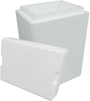 Air Sea Containers Insulated Styrofoam Cooler 8" x 6" x 9" - Great for Shipping or Storing Specimens, Produce and All Sorts of Perishables - Inner Dimensions 8" x 6" x 9" Capacity .25 Cubic Feet