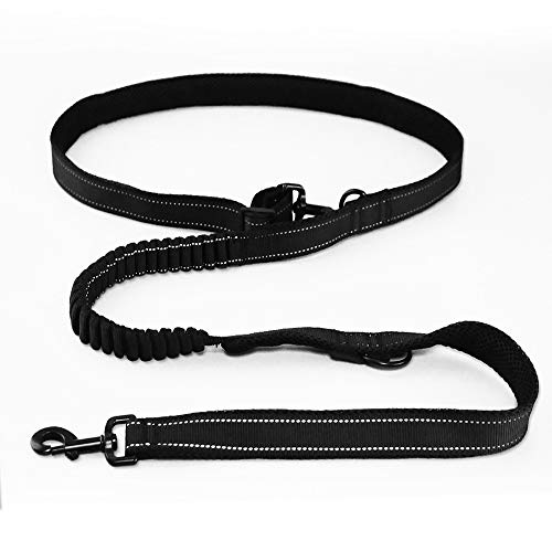Corde pour chien double tête résout problème traction taille - 2