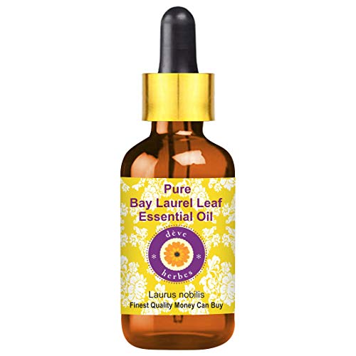 Huile essentielle de feuille de laurier pure qualité thérapeutique contre le stress
