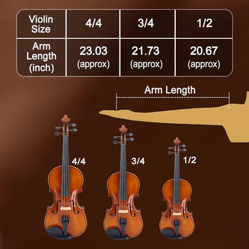Professional Violin Beginner Full Size