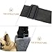 FONDOTIN Skin-Friendly Dog Sling Carrier for Rehabilitation Comfortable PET Lift Harness for Dogs Breathable Mesh