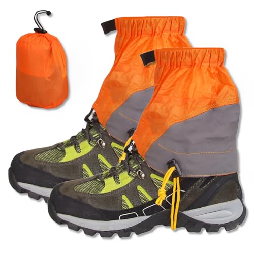 solunaterra oRpQC^[ V[g h bOJo[ J ΍ gbLO AEghA y (IW)