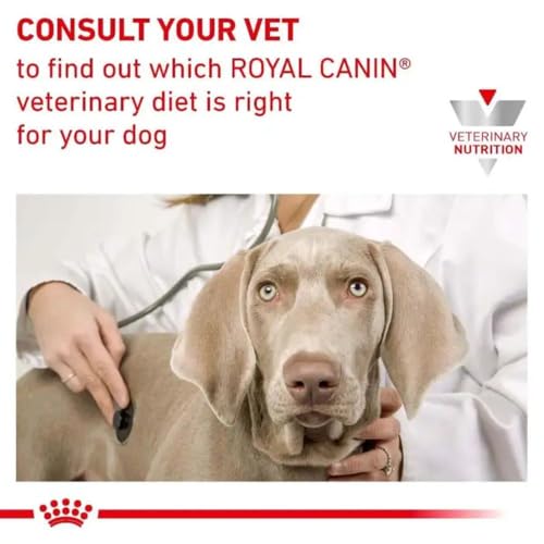 ROYAL CANIN Early Renal Canine - Dry Food for Adult Dogs in The Early Stages of Kidney Disease - 14 kg