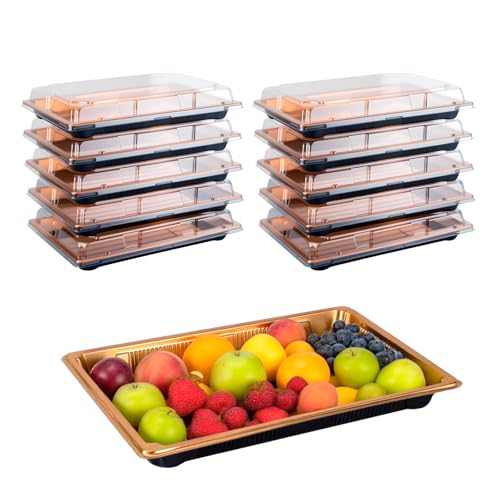 10 Pack Reusable Sandwich Platter Trays with Lids – 25 cm/ 10" Se...