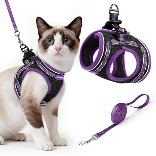 Image of rabbitgoo Cat Harness and Leash Set, Step-in Soft Vest, Black & Purple