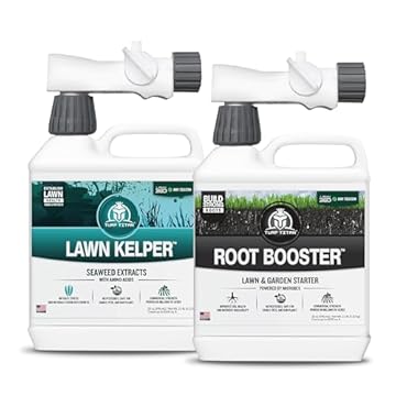 Best Lawn Fertilizer for Midsummer: Which One Will Transform Your Yard? 2 best lawn fertilizer for midsummer