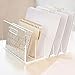 russell+hazel Acrylic File Sorter, Desktop File Collator for Office, Closet or Home, Clear Acrylic, 10