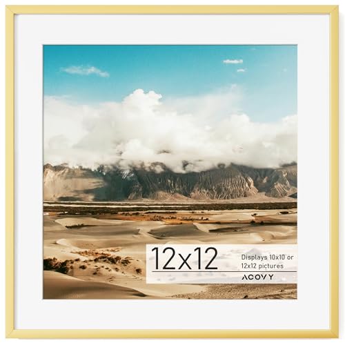 Acovy アルミフォトフレーム マット付き アルミニウムメタルフォトフレーム 強化ガラス付き 卓上ディスプレイまたは壁取り付け用 (12x12、ゴールド)