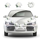 ღ Montaje en el interior: joyas de coche rosa con una ventosa muy estable, está firmemente unida al coche y se puede conectar fácilmente con espejo retrovisor y manija de puerta. No hay goma de bragas para atar en el espejo, sin conexión de la ventana del coche. ¡No más plagas con la pandilla, no ensucies las manos! Ventosas absorbentes que dan a nuestra decoración de coche de boda un agarre extra fuerte sin dejar rastros.