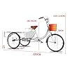 Adults Tricycle 3 Wheel Cruiser Trike Bikes, 20 Inch Foldable Three Wheeled Mountain Bicycles for Adult Seniors Shopping Basket 220cm #1