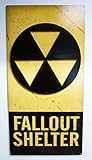 16 X 24 Fallout Shelter 3D