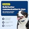 PetSafe Add-A-Dog Remote Training Collar Smaller Version for Small or Medium Dogs Choose from Tone, Vibration, or 15 Levels of Static Stimulation Waterproof and Durable Rechargeable