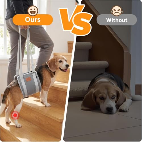 Image of Adjustable Dog Sling for Medium Dogs Soft Post-ACL Surgery Mobility Aid