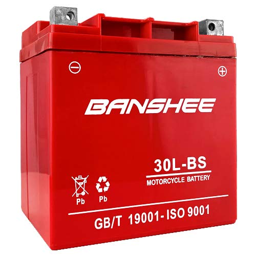 Banshee YTX30L-BS 12V 30AH Battery BMW R90/6, R9OS '69-'76 400CCA 4 YR Warranty