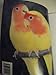 Lovebirds: Everything About Housing, Care, Nutrition, Breeding, and Diseases : With a Special Chapter, Understanding Lovebirds (Complete Pet Owner's Manual)