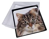 Made in the UK Advanta - Coaster Set 4X Gesicht der Schildpatt-Katze Bild Setzer gesetzt