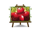 Cerezo cerezo dulce cereza dulce Sunburst en jarrón 20 planta frutal autofértil máx. 170 cm - 2 años cultivo Italia