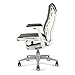 CHAIRORAMA Certified Refurbished Embody Gray Chair, Pixelated Support, Backfit Adjustment, Advanced Ergonomic Office Chair for Healthy Movement, Balanced Posture, 12-Year Warranty