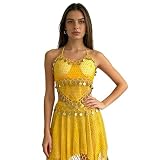 Belly Dance Costume Set Fashion Hip Scarf with Crop Top Sequins Fringe Bra and Skirt Outfit for Stage Dance Suit