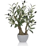 TOARTi Artificial Olive Tree Potted Plant with Stone Pot, 18.5' Tall Japanese Bonsai Tree Faux Plants Desk Plant, Realistic Greenery Decor for for Home Bedroom Bathroom Office Desk