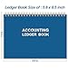Accounting Ledger Book - A5 Ledger Book for Bookkeeping, Small Businesses & Personal Use, Expense Tracker Notebook for Tracking Money, Expenses, Deposits & Balance, 8.5