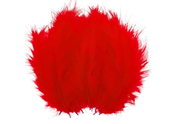 Sansgoods Enterprises RED Natural Dyed Craft Feathers for DIY Art, Decoration, School Projects (100 Pieces, 3-4 Inch Approx.)-image-12