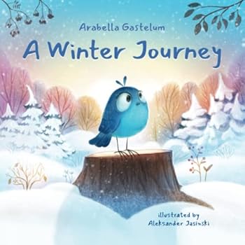Paperback A winter Journey Book