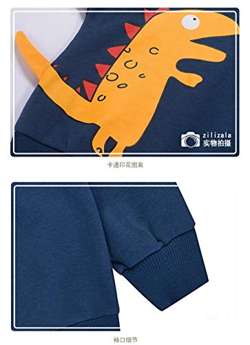 BeedooDoobee Moletom masculino de 1 a 7 anos com estampa de dinossauro, para meninos e crianças, rou