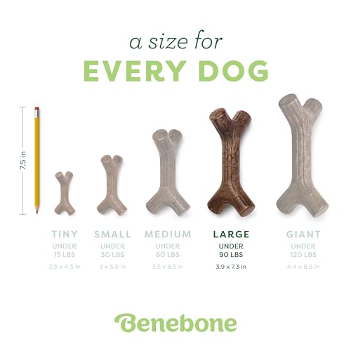 Benebone Mapple Stick Chew Toy for Dogs (Real Wood, Large)