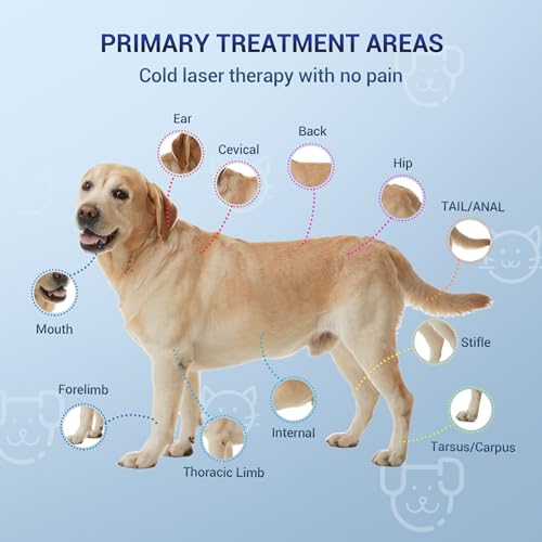 Image of Mibest Cold Laser Therapy Device for Vet - Red Light Therapy for Dogs and Cats - Infrared Light Therapy Targets Joint and Muscles - Pain Relief, Arthritis, Spinal, Wound Healing (4x808nm + 12x650nm)