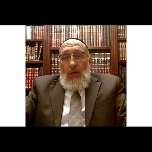 TIMELY ILLUMINATING SHUIRIM BY RABBI YAAKOV SINGER cover art
