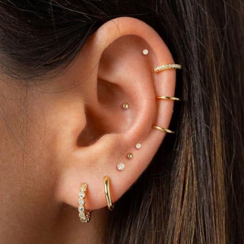 LOMISS BRINCO PIERCING ARGOLA SEGMENTO ARTICULADO AÇO CIRÚRGICO PVD (PRATA, 1.0X8)