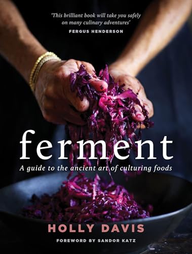 Ferment view 2