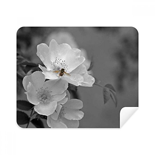 Chiffon de nettoyage pour écran et lunettes idéal au bureau avec son design floral élégant