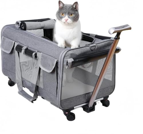 Zeruho L L[obO ybg L[J[g Lp L[ J[g 2CLp LX^[t X[cP[X |[^uybgX[cP[X e ʋC̗ǂ܂ݎybgobO g\  Lp bNL[obO U s 