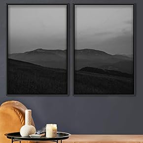 signwin 2 Piece Framed Canvas Wall Art Monochromatic...