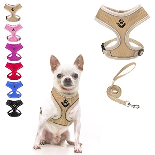 amazon best dog harness